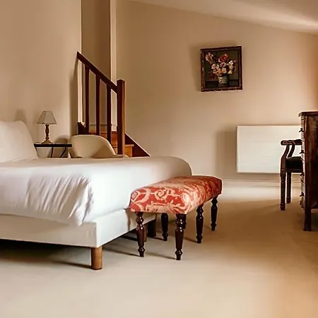 Chateau Senailhac Tresses